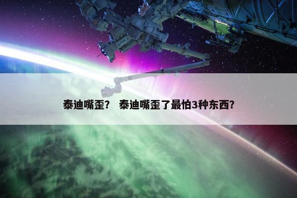 泰迪嘴歪？ 泰迪嘴歪了最怕3种东西？