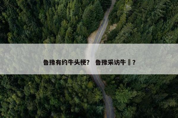 鲁豫有约牛头梗？ 鲁豫采访牛犇？