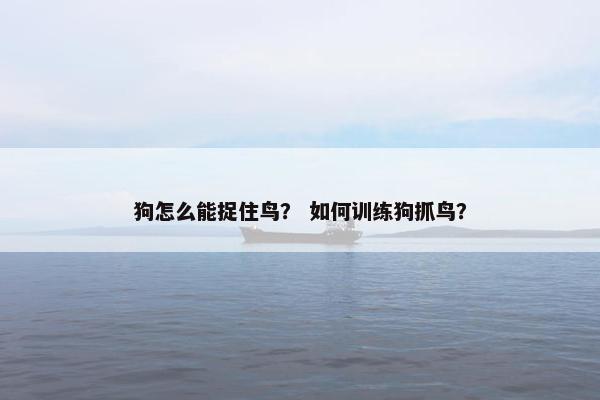 狗怎么能捉住鸟？ 如何训练狗抓鸟？