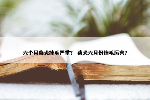 六个月柴犬掉毛严重？ 柴犬六月份掉毛厉害？