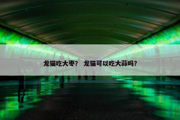 龙猫吃大枣？ 龙猫可以吃大蒜吗？