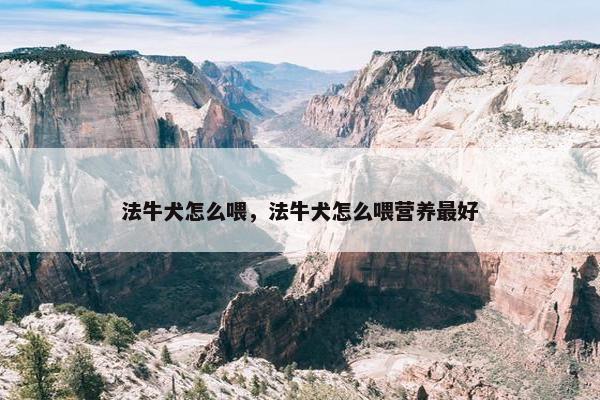法牛犬怎么喂，法牛犬怎么喂营养最好