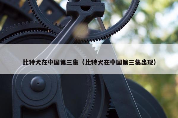 比特犬在中国第三集（比特犬在中国第三集出现）
