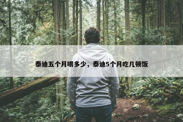 泰迪五个月喂多少，泰迪5个月吃几顿饭