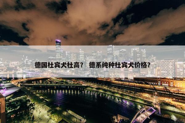 德国杜宾犬杜高？ 德系纯种杜宾犬价格？