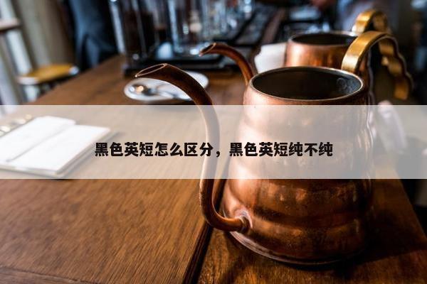 黑色英短怎么区分，黑色英短纯不纯