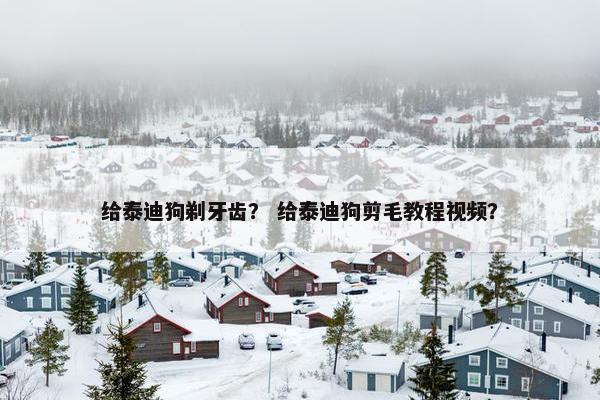 给泰迪狗剃牙齿？ 给泰迪狗剪毛教程视频？