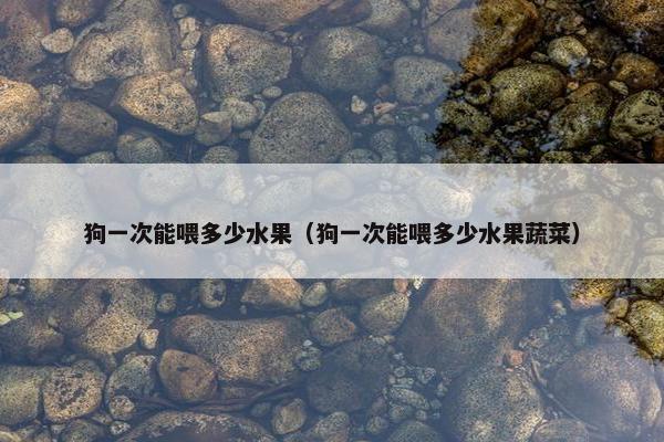 狗一次能喂多少水果（狗一次能喂多少水果蔬菜）