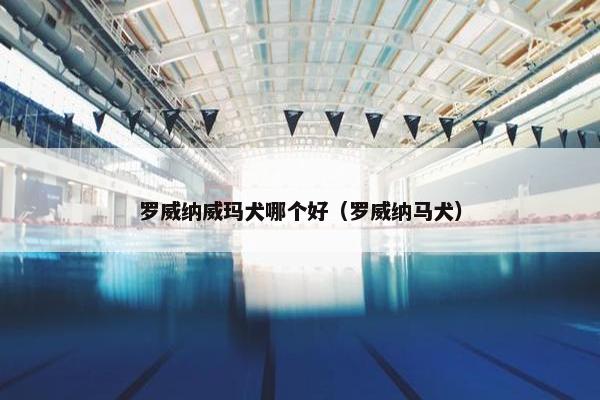 罗威纳威玛犬哪个好（罗威纳马犬）