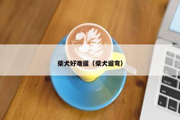 柴犬好难遛（柴犬遛弯）