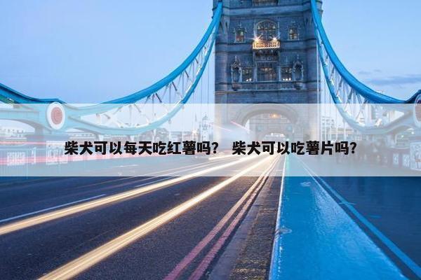 柴犬可以每天吃红薯吗？ 柴犬可以吃薯片吗？
