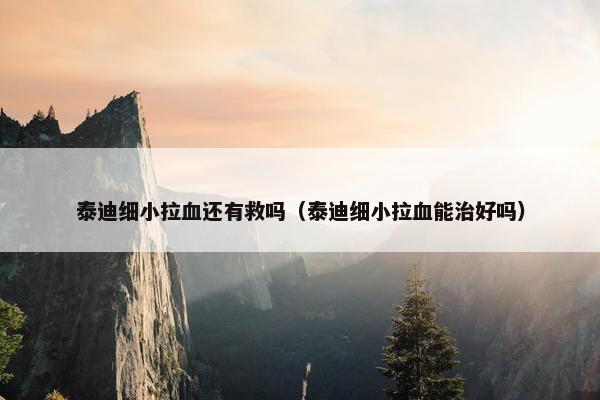 泰迪细小拉血还有救吗（泰迪细小拉血能治好吗）