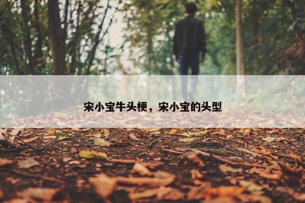 宋小宝牛头梗，宋小宝的头型