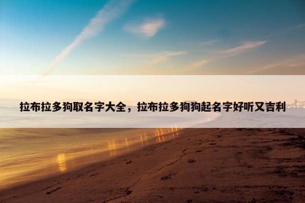 拉布拉多狗取名字大全，拉布拉多狗狗起名字好听又吉利