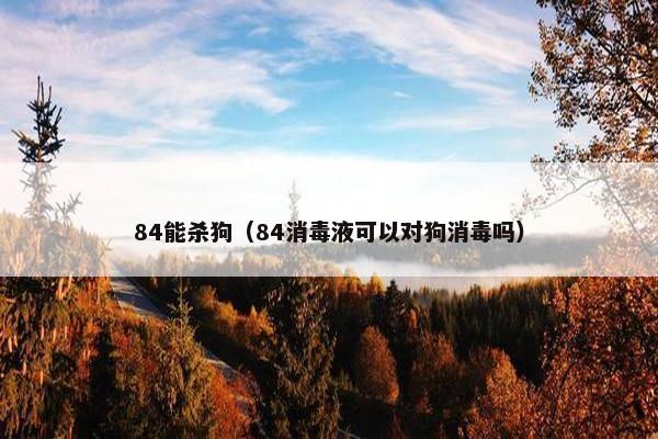 84能杀狗（84消毒液可以对狗消毒吗）