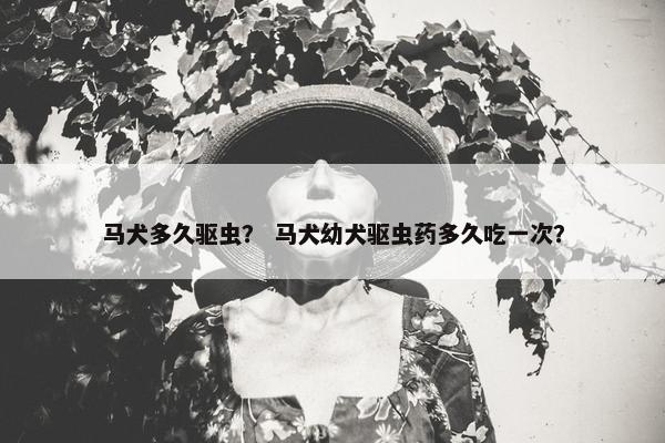 马犬多久驱虫？ 马犬幼犬驱虫药多久吃一次？