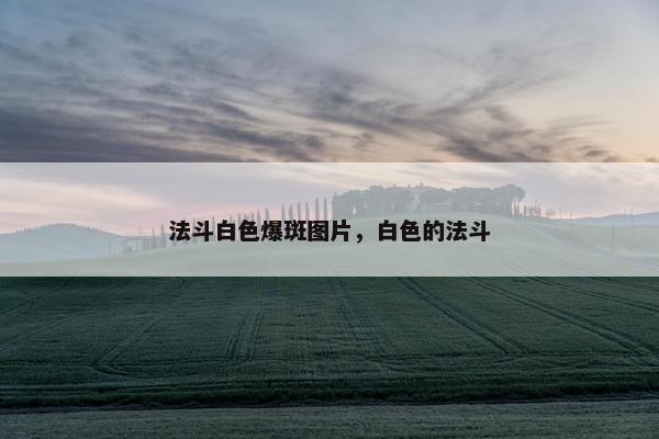 法斗白色爆斑图片，白色的法斗