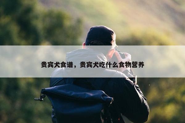 贵宾犬食谱，贵宾犬吃什么食物营养