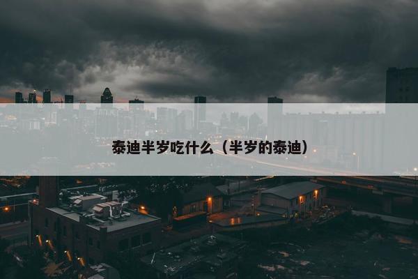 泰迪半岁吃什么（半岁的泰迪）