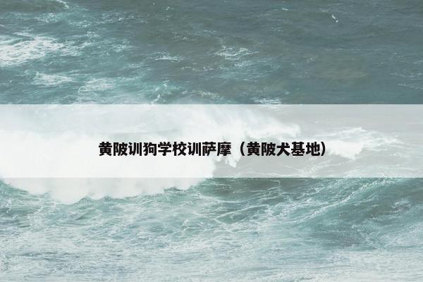 黄陂训狗学校训萨摩（黄陂犬基地）