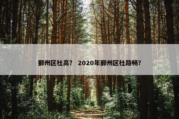 鄞州区杜高？ 2020年鄞州区杜路畅？