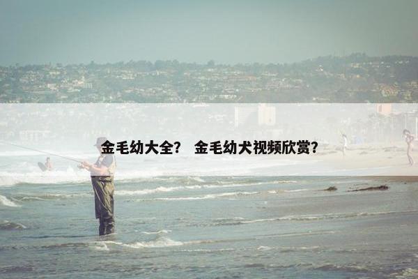 金毛幼大全？ 金毛幼犬视频欣赏？