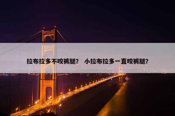 拉布拉多不咬裤腿？ 小拉布拉多一直咬裤腿？