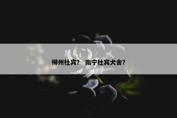柳州杜宾？ 南宁杜宾犬舍？