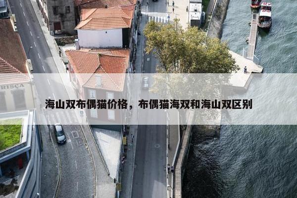 海山双布偶猫价格，布偶猫海双和海山双区别