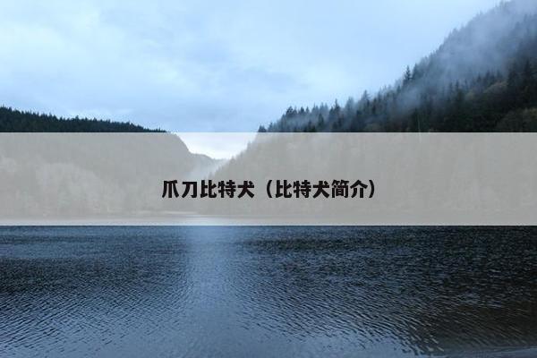 爪刀比特犬（比特犬简介）