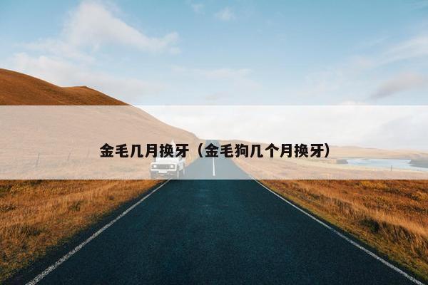 金毛几月换牙（金毛狗几个月换牙）