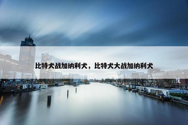 比特犬战加纳利犬，比特犬大战加纳利犬