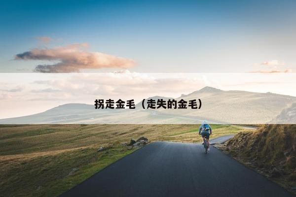 拐走金毛（走失的金毛）