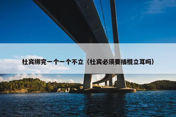 杜宾绑完一个一个不立（杜宾必须要插棍立耳吗）