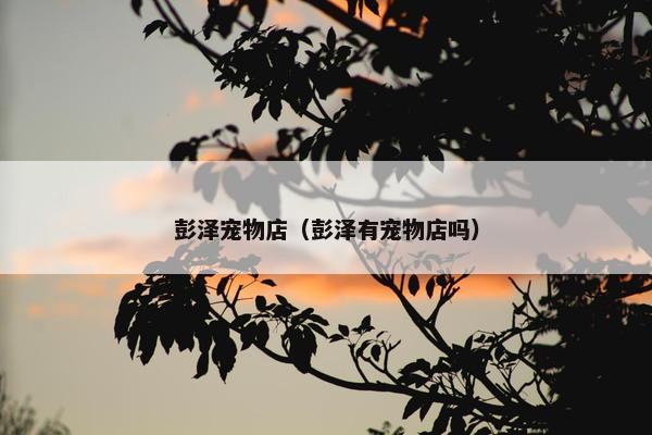 彭泽宠物店（彭泽有宠物店吗）