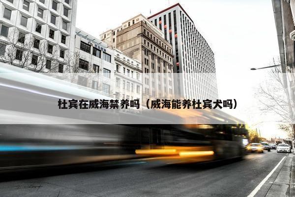 杜宾在威海禁养吗（威海能养杜宾犬吗）