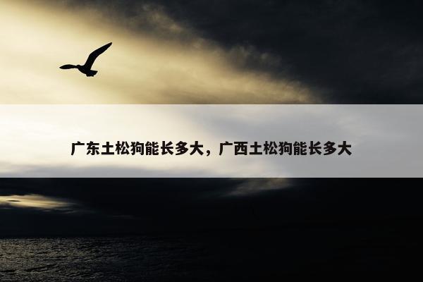 广东土松狗能长多大，广西土松狗能长多大