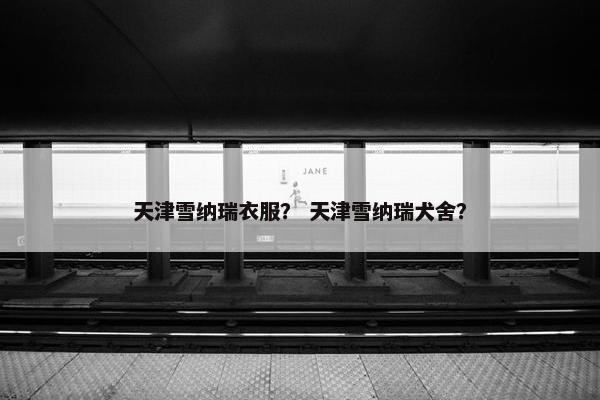 天津雪纳瑞衣服？ 天津雪纳瑞犬舍？
