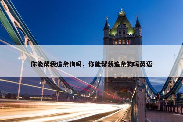 你能帮我追条狗吗，你能帮我追条狗吗英语