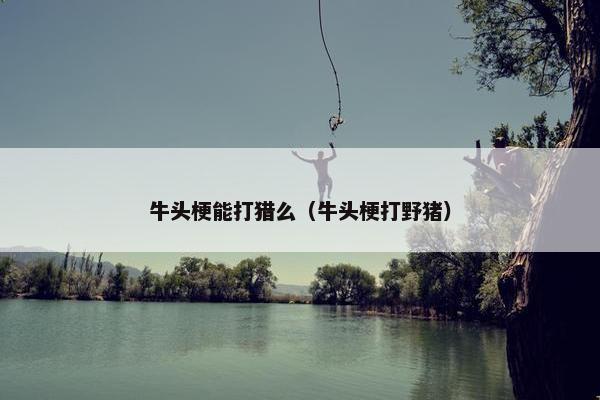 牛头梗能打猎么（牛头梗打野猪）