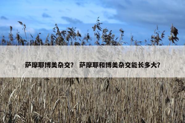 萨摩耶博美杂交？ 萨摩耶和博美杂交能长多大？