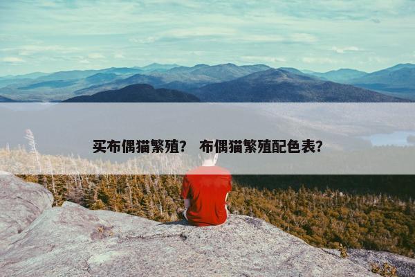 买布偶猫繁殖？ 布偶猫繁殖配色表？