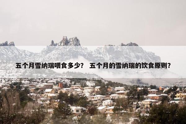 五个月雪纳瑞喂食多少？ 五个月的雪纳瑞的饮食原则？
