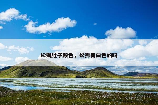 松狮肚子颜色，松狮有白色的吗