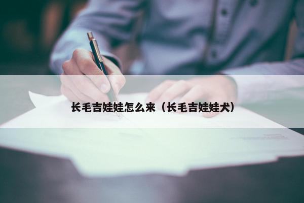 长毛吉娃娃怎么来（长毛吉娃娃犬）