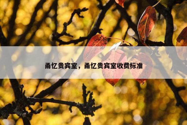 甬忆贵宾室，甬忆贵宾室收费标准