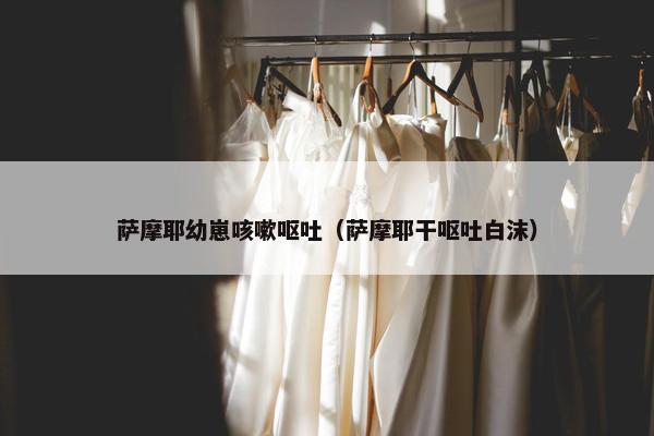 萨摩耶幼崽咳嗽呕吐（萨摩耶干呕吐白沫）