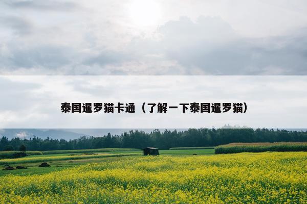 泰国暹罗猫卡通（了解一下泰国暹罗猫）