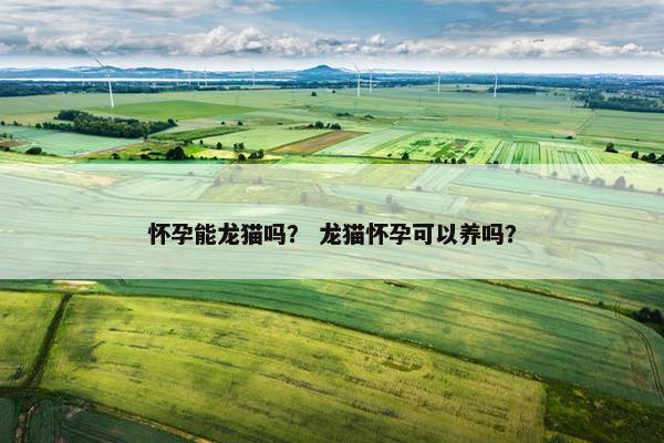 怀孕能龙猫吗？ 龙猫怀孕可以养吗？