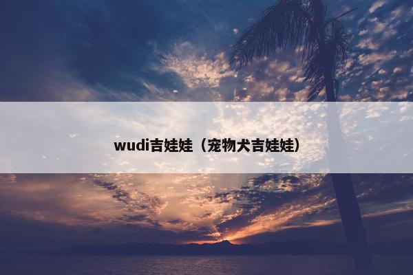 wudi吉娃娃（宠物犬吉娃娃）